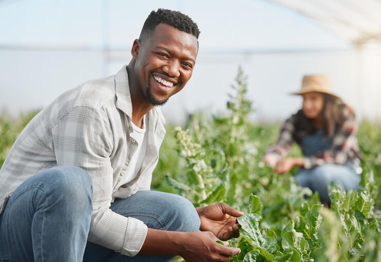 Irrigation Systems