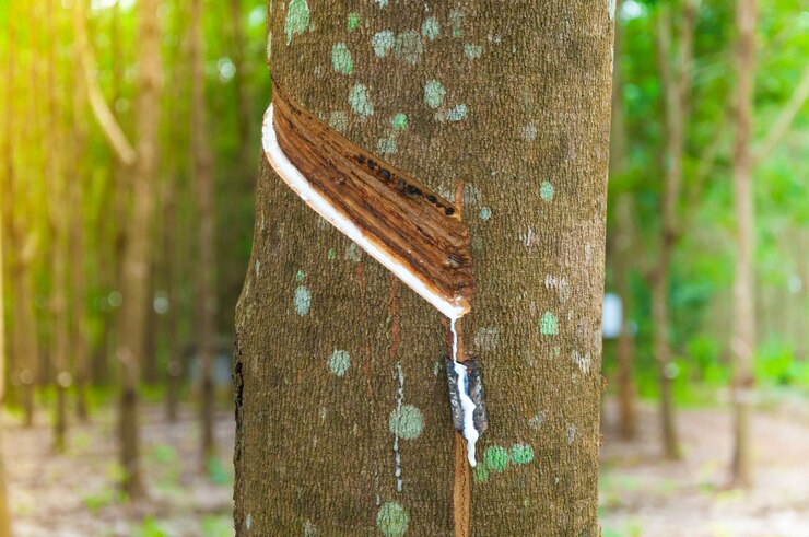 rubber